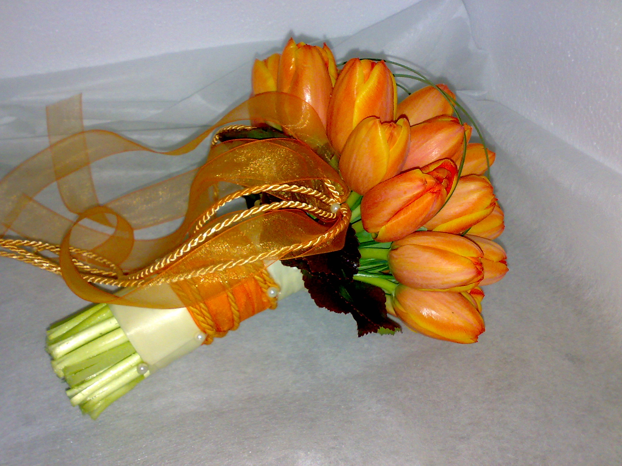 tulipany1(1).jpg